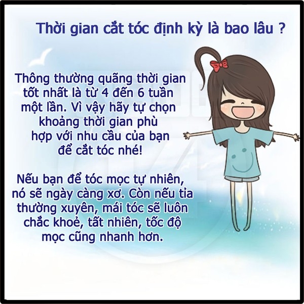 Tỉa tóc định kì